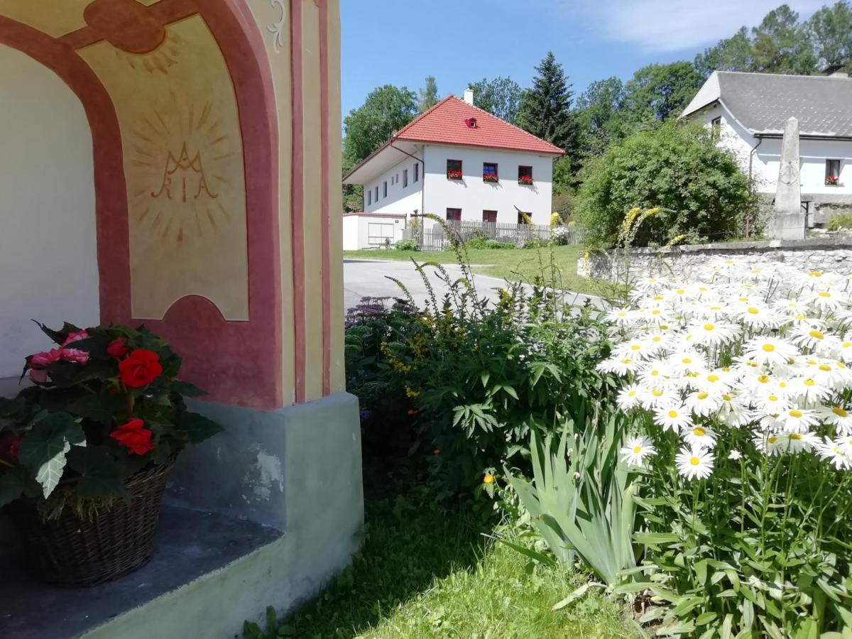 Ubytovani Praschlhaus Horní Planá Zewnętrze zdjęcie