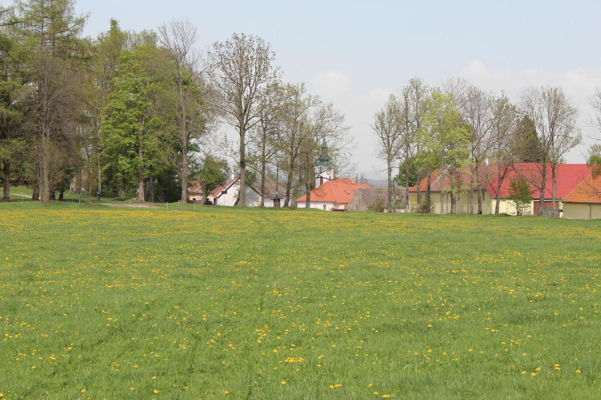 Ubytovani Praschlhaus Horní Planá Zewnętrze zdjęcie