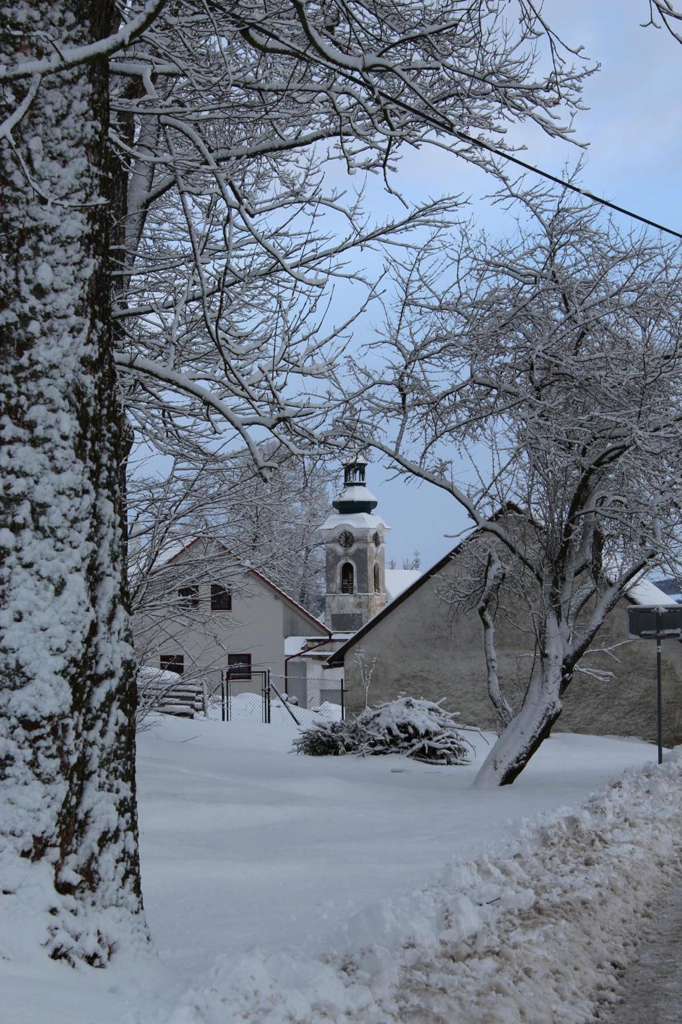 Ubytovani Praschlhaus Horní Planá Zewnętrze zdjęcie