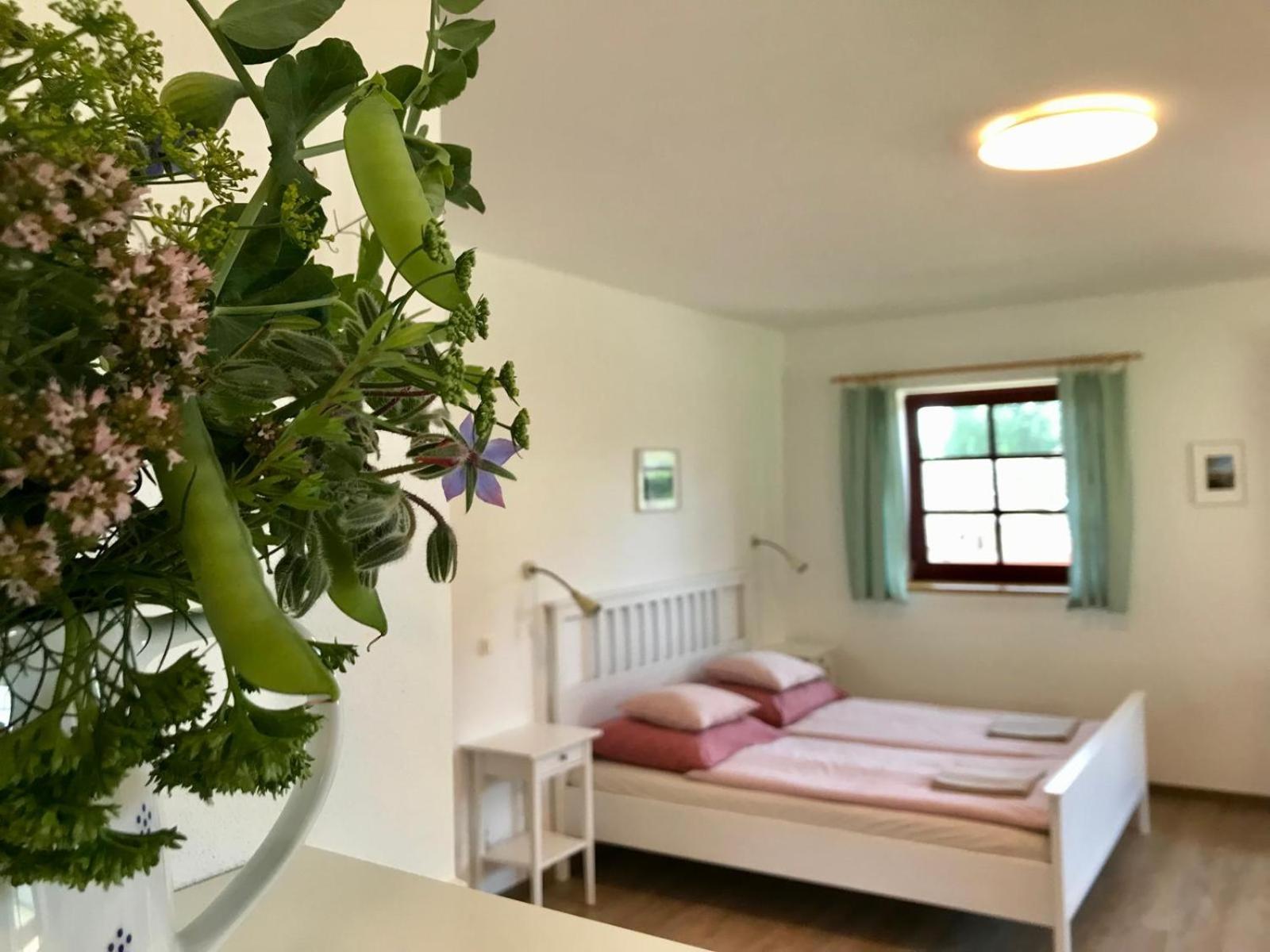 Ubytovani Praschlhaus Horní Planá Zewnętrze zdjęcie